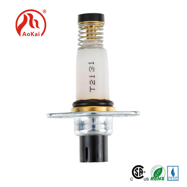 Bentuk apa yang akan menjadi trend pembangunan masa depan injap solenoid?